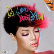 ดา เอ็นโดรฟิน - ดอกไม้ไฟ VCD905-web1